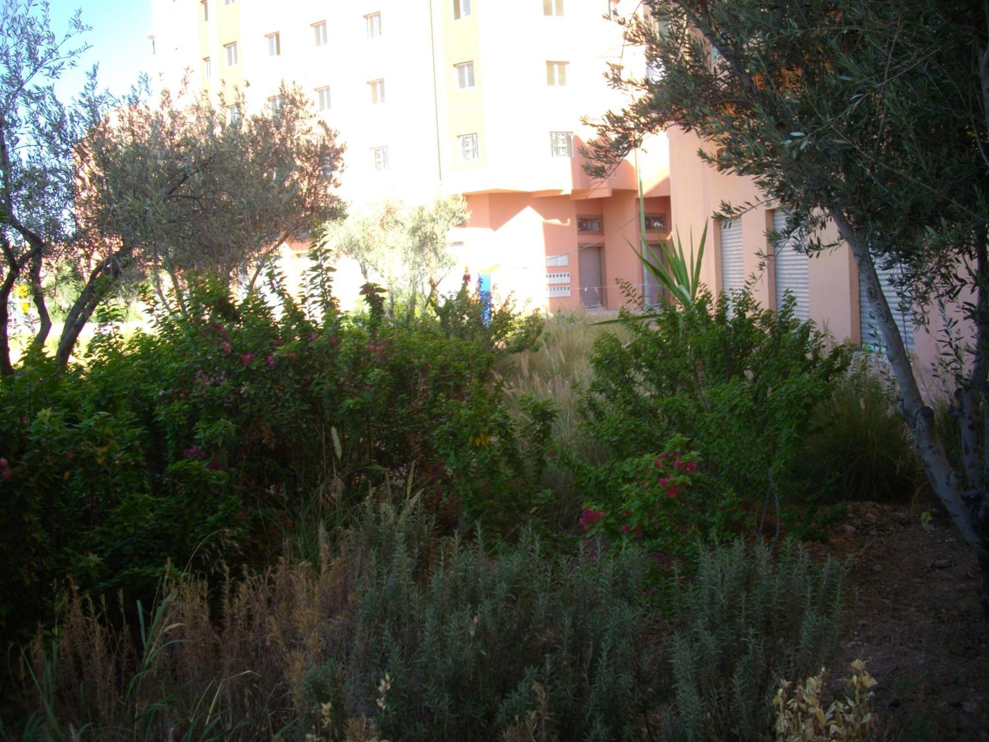 Cheap In Marrakech *